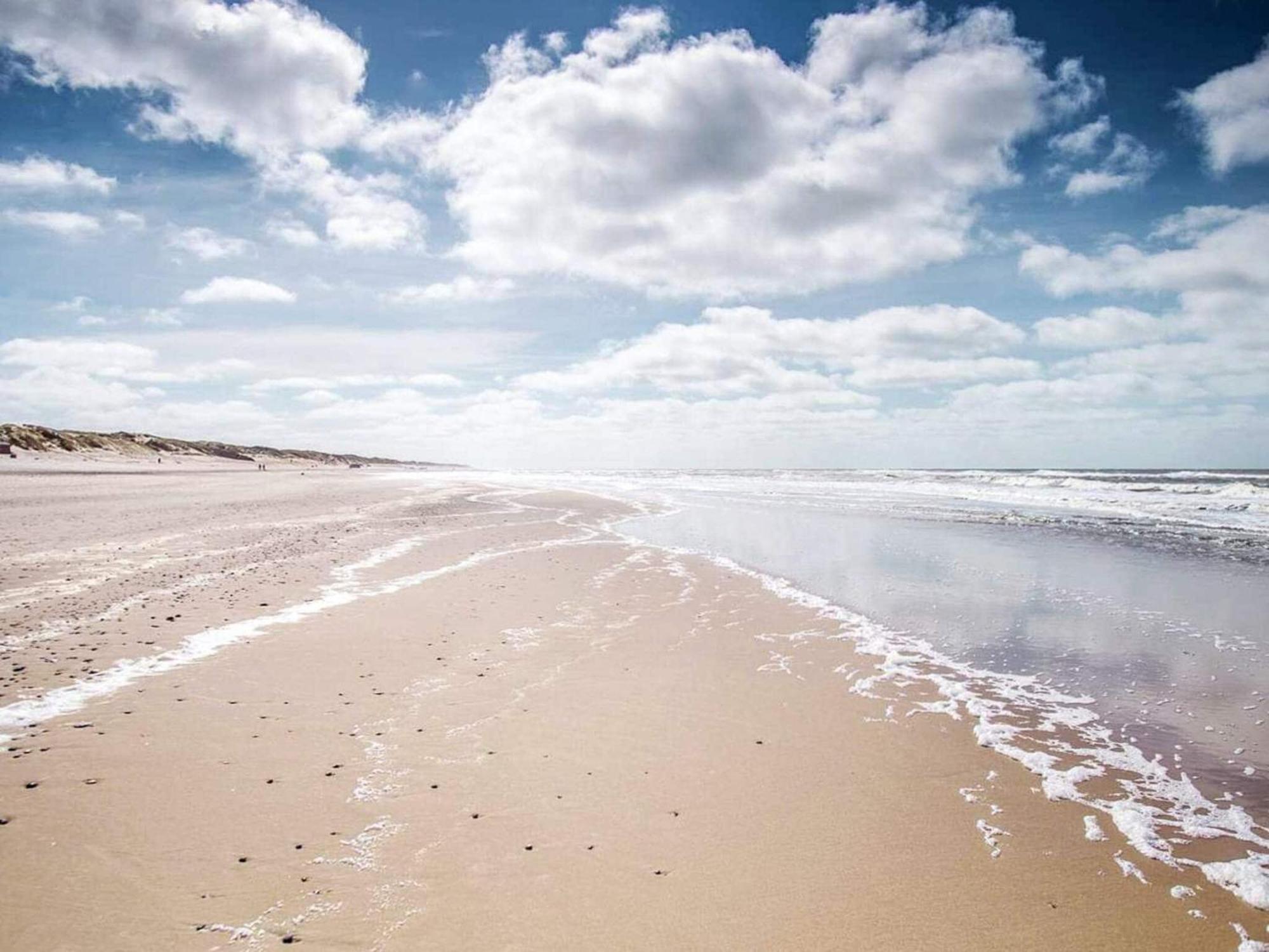 Cxiv * Hvide Sande